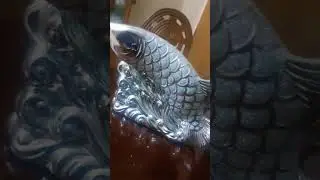 🤔fish showpiece 🐟😅