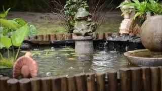 Relaxing music/meditation/study/stress relief/ Music Hub