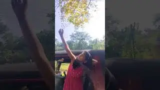 #vishu #celebration #new #video