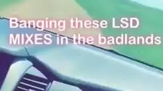 LSD - Heaven Can Wait (Alternative Mix Snippet)