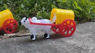 BULLOCK CART RESCUE COW