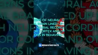 unveiling neural mirroring virtual brain's discovery #biology #ai #technology