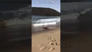 so funny | funny video |hd video |720ph|2021