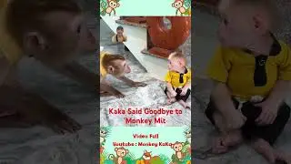 Monkey kaka said goodbye to Monkey baby Mit before leaving the house because of jealousy #babymonkey