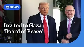 Donald Trump asks Anthony Albanese to join 'Board of Peace' for Gaza | ABC NEWS