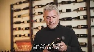Slovenian Natural Wines - Klabjan Refosk
