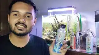 নতুন অতিথি এসেছে আমাদের একুরিয়ামে 😍
