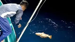 Catching Mangrove Jack, Blubberlip Snapper & Emperor Fish in the Sea