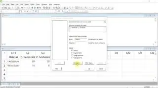 Chi-squared test for association with Minitab