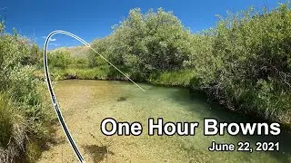 242. One Hour Browns -June 22, 2021