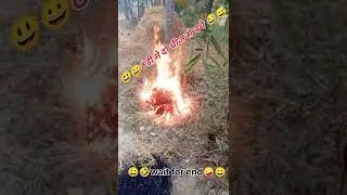 #2025 ki#thandhi #shots #viralvideo #happy #thandh #comedyvideo