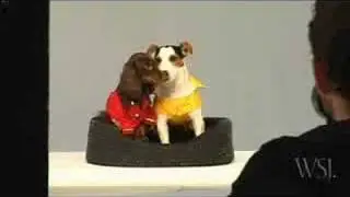 WSJ Magazine: A Photo Op for Dogs