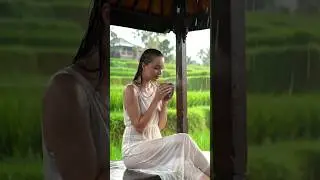 ASMR HEALING RAIN SOUNDS IN RICE FIELDS FOR INNER PEACE#asmr #rain #asmrrain