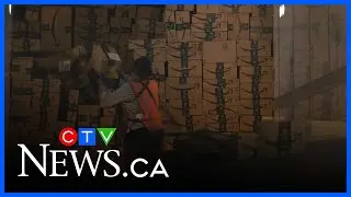 Amazon laying off thousands of workers