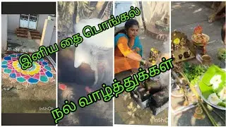 இனிய தமிழர் திருநாள் தை பொங்கல் நல்வாழ்த்துக்கள் 💐💐💐💐#pongal #pongalkolam #family #familyvlog #pooja