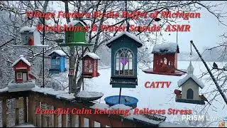 013126 LIVE CATTV MICHIGAN BIRDS, SNOW, WATER SOUNDS & WINDCHIMES #RELAXING  #CALM #PEACEFUL  #ASMR