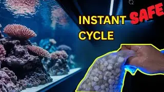 Cycle Your Reef Tank Fast and Naturally