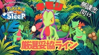 【ポケモンスリープ】 無課金向けキモリ厳選妥協ライン ジュカインが一般ポケモン最強のエナジー効率!?ラピスラズリ湖畔のきのみ回収ポケモンはメガニウムからジュカインへ