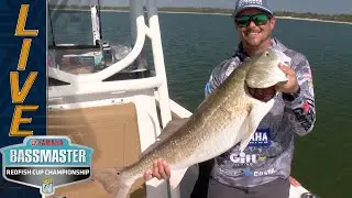 REDFISH: Atkins needs a bigger board