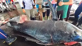 Ocean Marvel Attractive Maestro Showcases Super Giant Blue Marlin Cutting Skills! 🌊🔪