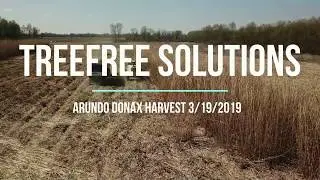 TreeFree Harvest