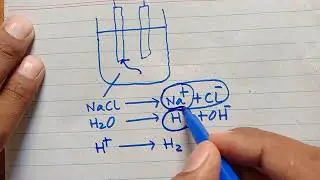 castner kellner cell