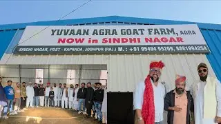Inaugration Of Yuvaan Agro Goat Farm Sindhi Nagar Jodhpur Centre | Biggest Goat Farm India Branch 2.