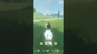 Avoir un cheval de glace dans Zelda ?