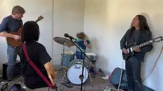 Deerhoof - Plant Thief