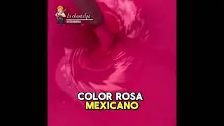 Doal l&iacute;nea Gool en color rosa mexicano ofrece calidad, durabilidad y un acabado excepcional💖