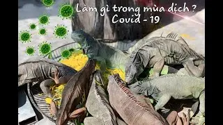 SimBa Vlog - Ở nh&agrave; l&agrave;m g&igrave; m&ugrave;a dịch CoVid - 19 ?