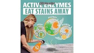 Angry Orange Pet Stain Remover Review: Is This Citrus Enzyme Cleaner Worth Your Money?