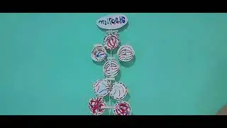 Maqueta de Mitosis