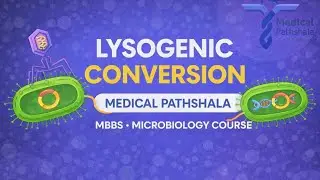 🧬 Lysogenic Conversion | MBBS Microbiology | Medical Pathshala