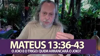 MATEUS 13:36-43 - O JOIO E O TRIGO: QUEM ARRANCARÁ O JOIO?