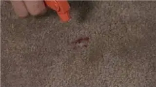 Carpet Cleaning : Removal of a Kool-Aid Carpet Stain