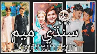 BadShah Sain Tiktok || Sindhi Memes || Funny Sindhi Comedy #sindhi #sindhitiktok