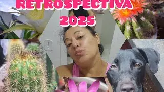 A Vez é dos Cactos: 