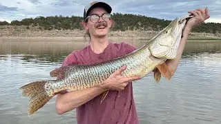Huge Muskie Bank Fishing Bluewater Lake NM