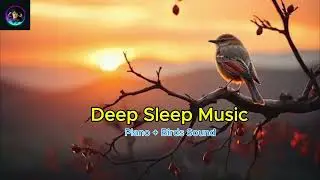 Deep Sleep Music piano + Birds Sound #calmmusic #relaxingmusic #deepsleep