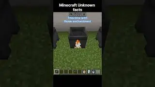Minecraft Unknown facts🤫😱Secret features💀#shorts