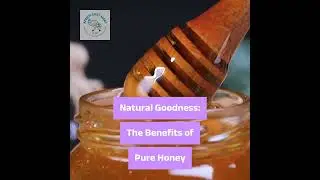 The Honey Journey: From Hive to Table