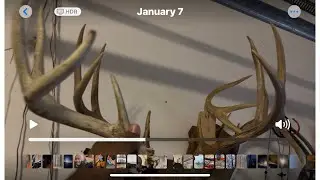 This Shed Changed The Game #Deer Sheds #Antlers vs Horns