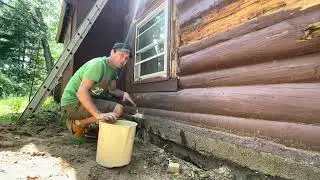 DIY Home Termite Treatment- Long Lasting