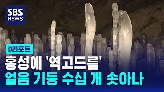 어린아이 키 만큼 솟아오른 '역고드름' / SBS / #D리포트