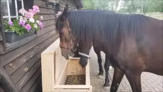 Zeitgesteuerte Heukiste