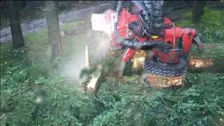 Abatteuse VALMET 921 - SILVAEX