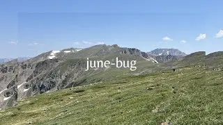 june-bug - a video diary
