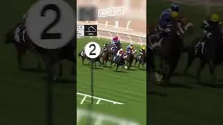 Invincible Caviar WINS Dead Heat PROTEST at FLEMINGTON 😱🏆 #horseracing #shorts