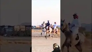 Arabian horse riding training zuljinah horse #horseridingschool #horse #stallion #horse